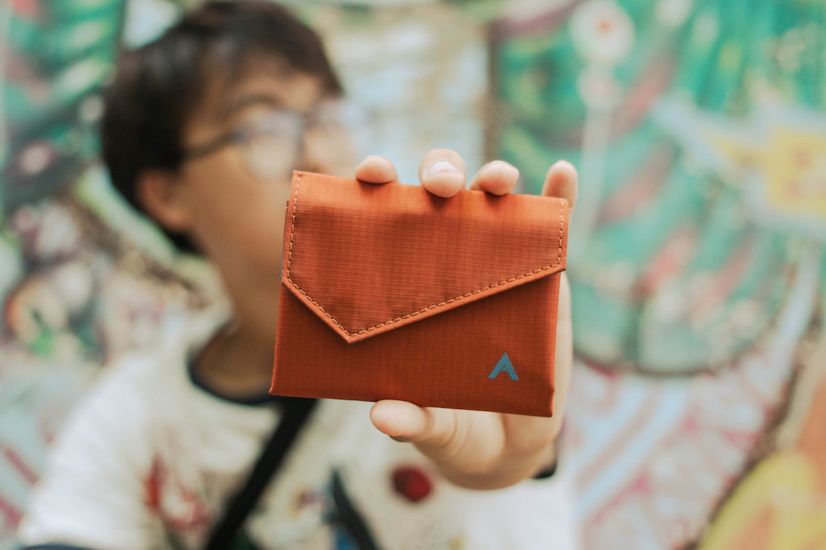 Allett Accordion Wallet