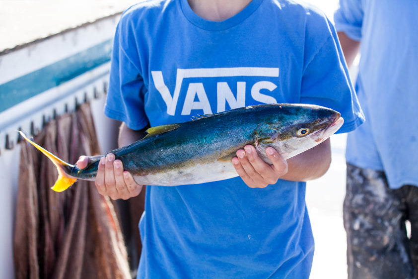 Person in a blue VANS shirt holding up a fish from San Diego.