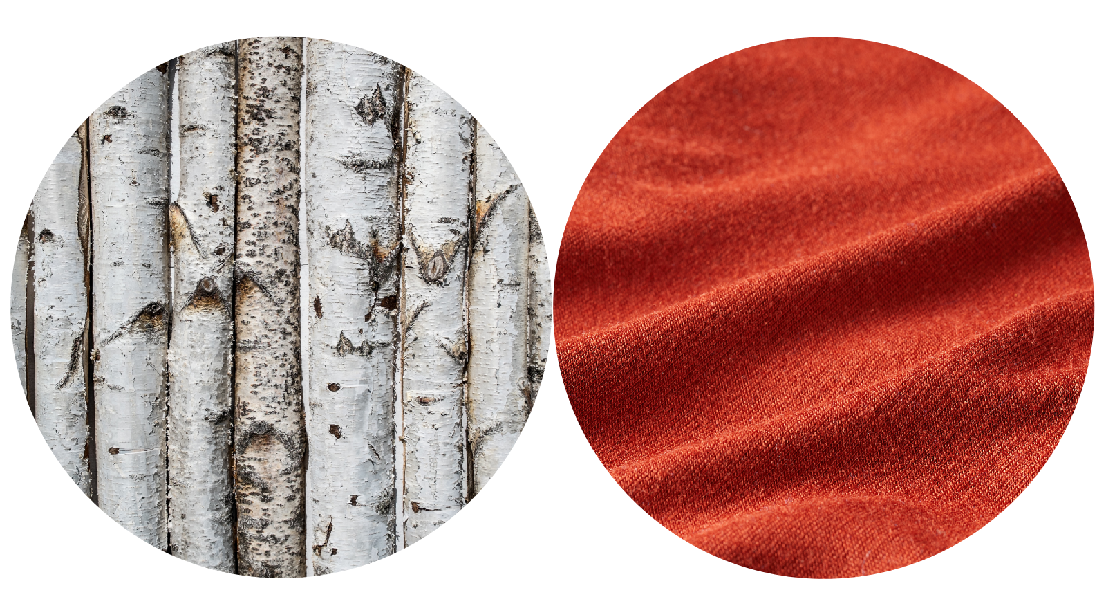 Side by side photos of beech tree bark (left) and red fabric (right) to show that a renewable tree can be made into sustainable wallets.