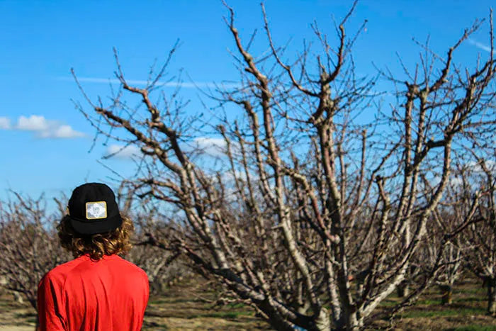 Man with a black backwards hat stands in front of a tree.